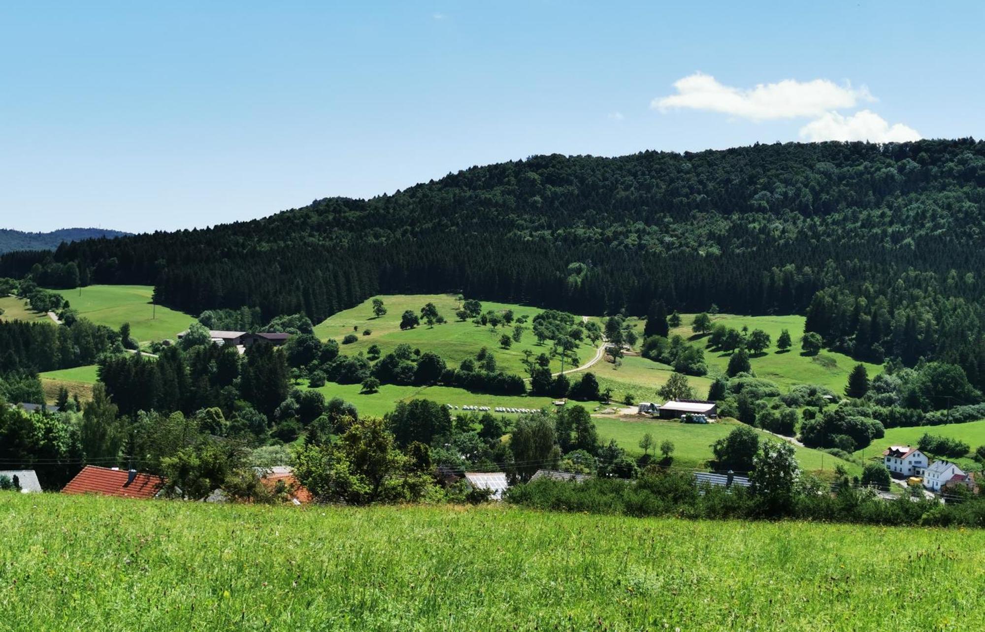 Ferienwohnung Blick Rappenstein Hausen am Tann Exterior foto